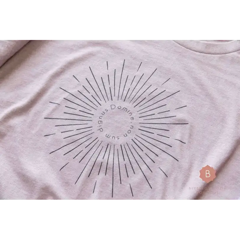 Domine non sum dignus Catholic tee shirt - Shirts & Tops